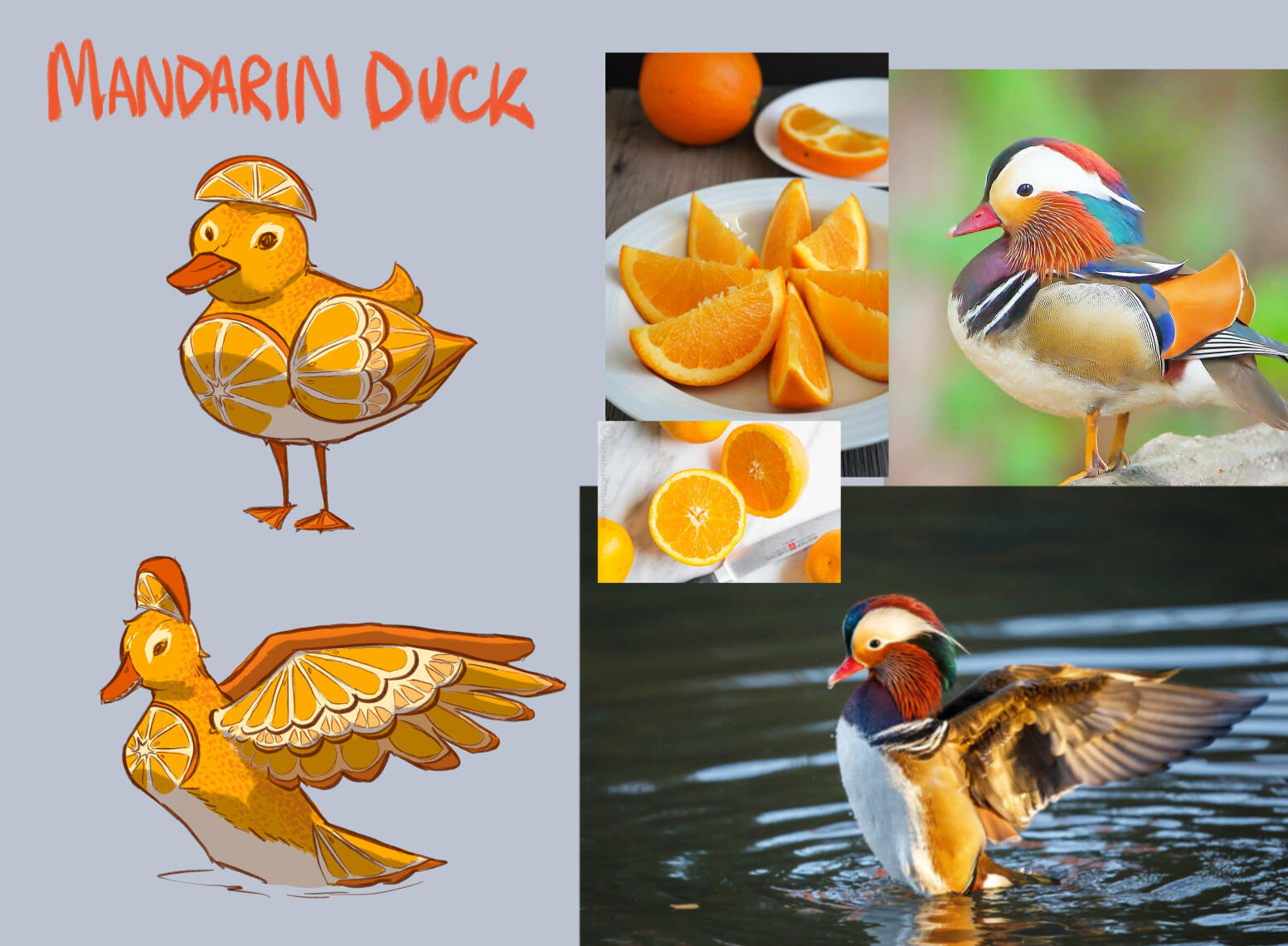Mandarin duck concept